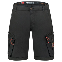 Geographical Norway šortai