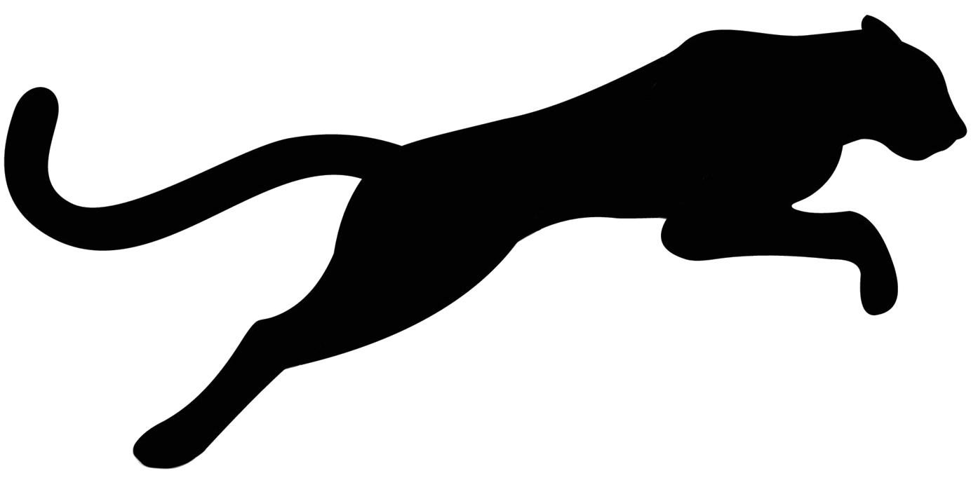 Jaguar Logo